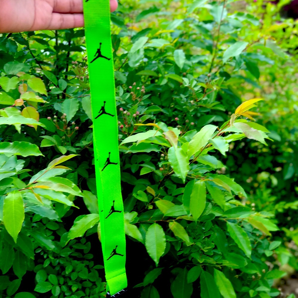 Like green Jordan lanyard